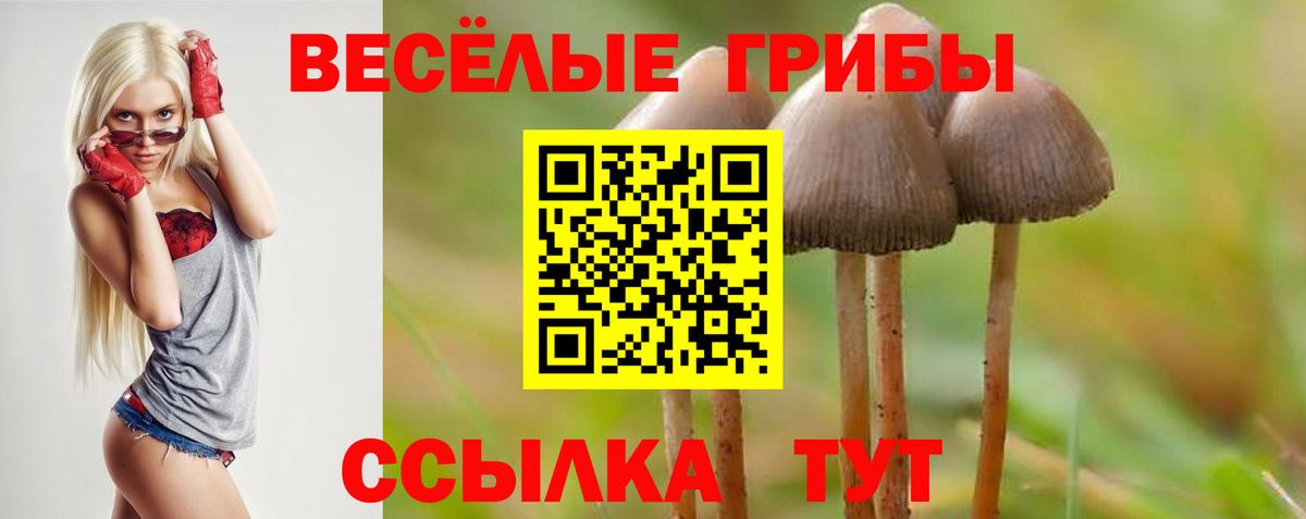 Псилоцибиновые грибы GOLDEN TEACHER Корсаков